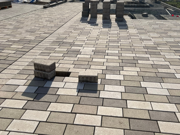 Parc des Aubépines (10)